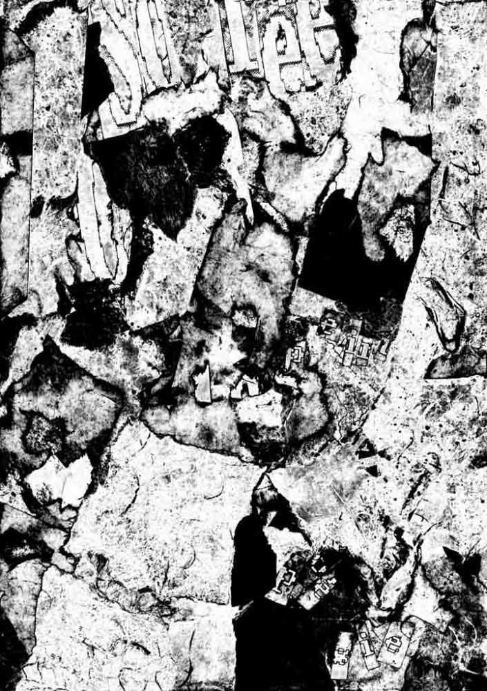 Diane Lafontaine | Fossilisation des fragments